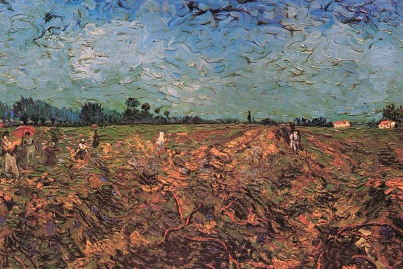 1art1 Poster Vincent Van Gogh Kunstdruck Bild - Der Grüne Weinberg, 1888 von 1art1