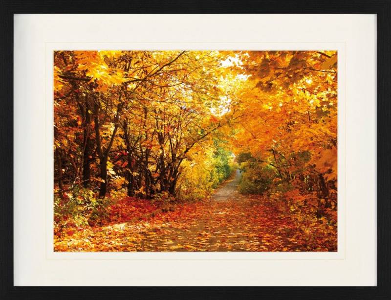 1art1 Poster Wälder Gerahmtes Bild Mit Edlem Passepartout, Wand-Bilder von 1art1