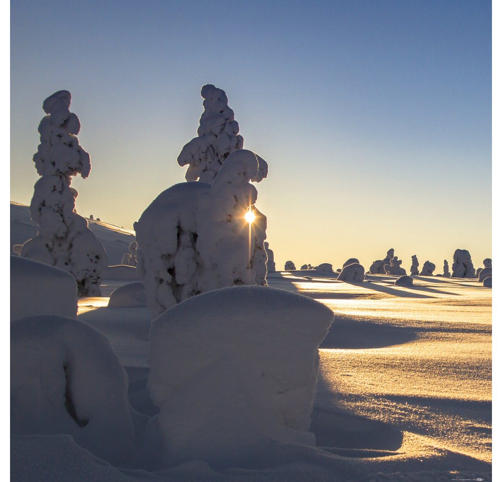 1art1 Poster Winter Kunstdruck Bild - Schneebedeckte Bäume An Einem 1art1 Poster Winter Kunstdruck Bild - Schneebedeckte Bäume An Einem von 1art1