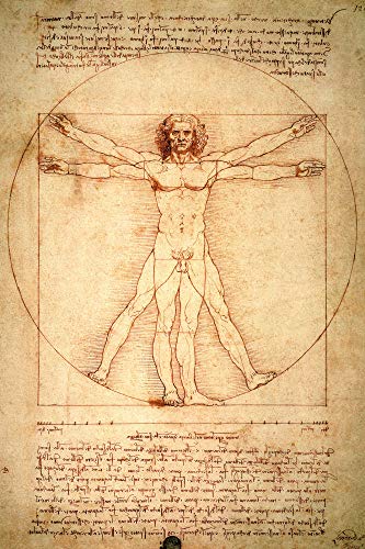 1art1 Leonardo Da Vinci XXL Poster Vitruvianischer Mensch, Circa 1490 Plakat | Bild 120x80 cm von 1art1
