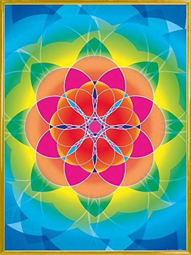 1art1 Mandalas Poster Kunstdruck Bild und Kunststoff-Rahmen - Blume des Lebens, Regenbogen (80 x 60cm) von 1art1