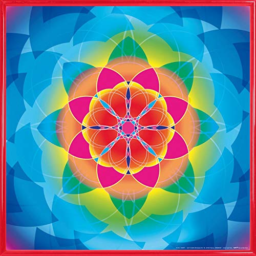 1art1 Mandalas Poster Kunstdruck Bild und Kunststoff-Rahmen - Blume des Lebens, Regenbogen (40 x 40cm) von 1art1