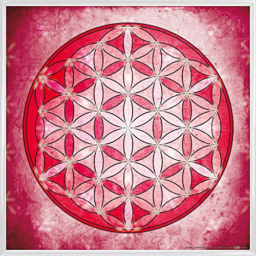 1art1 Mandalas Poster Kunstdruck Bild und Kunststoff-Rahmen - Die Blume des Lebens, Element Luft (40 x 40cm) von 1art1