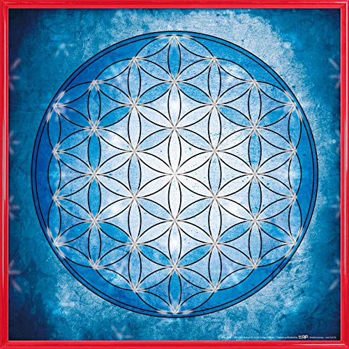 1art1 Mandalas Poster Kunstdruck Bild und Kunststoff-Rahmen - Die Blume des Lebens, Element Wasser (40 x 40cm) von 1art1