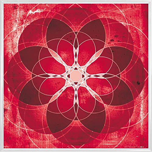 1art1 Mandalas Poster Kunstdruck Bild und Kunststoff-Rahmen - Rot, Kraft, Energie, Liebe Und Leidenschaft (40 x 40cm) von 1art1