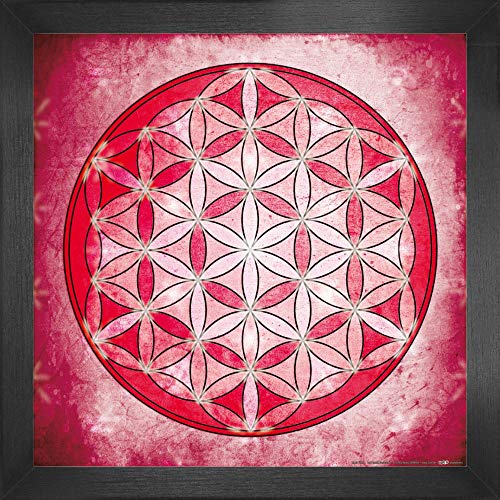 1art1 Mandalas Poster Kunstdruck Bild und MDF-Rahmen - Die Blume des Lebens, Element Luft (40 x 40cm) von 1art1