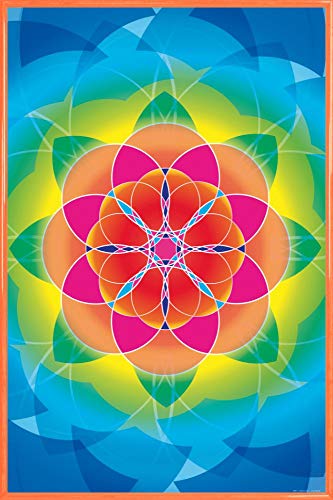 1art1 Mandalas Poster Plakat | Bild und Kunststoff-Rahmen - Blume des Lebens, Regenbogen (91 x 61cm) von 1art1