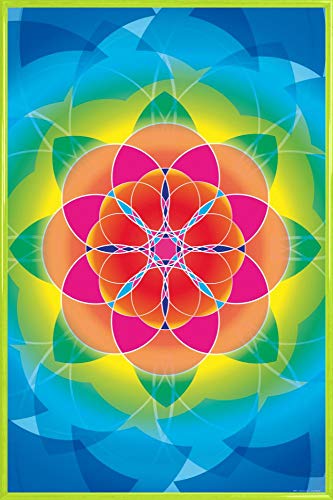 1art1 Mandalas Poster Plakat | Bild und Kunststoff-Rahmen - Blume des Lebens, Regenbogen (91 x 61cm) von 1art1