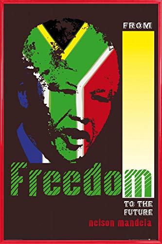 1art1 Nelson Mandela Poster Plakat | Bild und Kunststoff-Rahmen - from Freedom to The Future (91 x 61cm) von 1art1