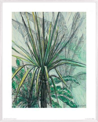 1art1 Pflanzen Poster Kunstdruck Bild und Kunststoff-Rahmen - Yucca, Shyama Ruffell (50 x 40cm) von 1art1