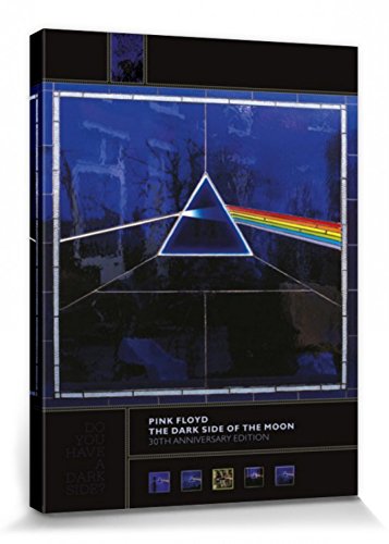 1art1 Pink Floyd Poster Dark Side of The Moon, Ausgabe Zum 30. Jubiläum Bilder Leinwand-Bild Auf Keilrahmen | XXL-Wandbild Poster Kunstdruck Als Leinwandbild 80x60 cm von 1art1