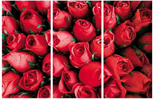 1art1 Rosen Poster Rote Rosen, Blütenmeer, 3-Teilig Bilder Leinwand-Bild Auf Keilrahmen | XXL-Wandbild Poster Kunstdruck Als Leinwandbild 180x120 cm von 1art1