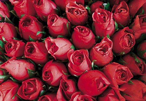 1art1 Rosen Rote Rosen, Blütenmeer, 3-Teilig Selbstklebende Fototapete Poster-Tapete 360x250 cm von 1art1