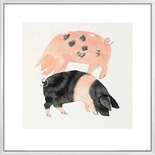 1art1 Schweine Poster Kunstdruck Bild und Kunststoff-Rahmen - Gloucester Old Spot and Saddleback Pigs, Julia Burns (40 x 40cm) von 1art1