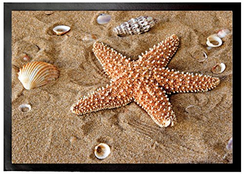 1art1 Seesterne Seestern Und Muscheln Im Sand Fußmatte Dekomatte Innenbereich | Design Türmatte 70x50 cm von 1art1
