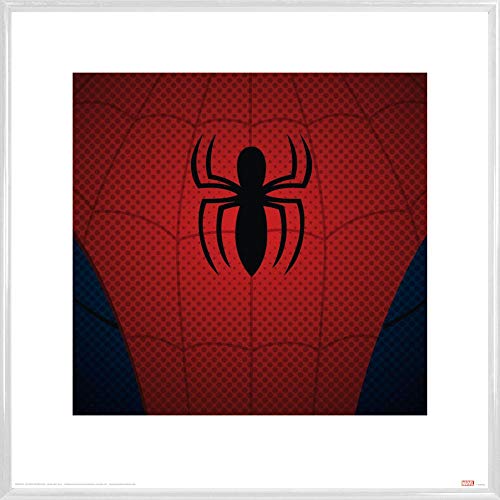 1art1 Spider-Man Poster Kunstdruck Bild und Kunststoff-Rahmen - Spinnen-Logo (40 x 40cm) von 1art1