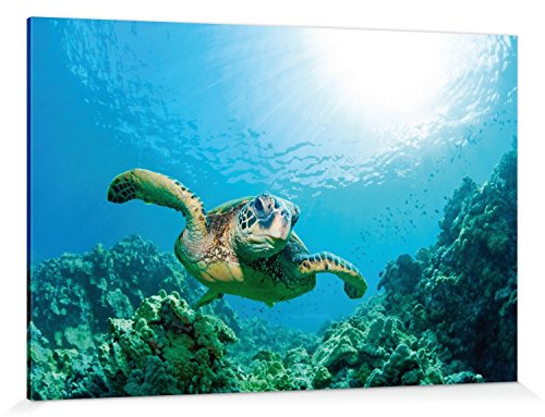 1art1 Unterwasserwelt Poster Meeres-Schildkröte Über Sonnendurchflutetem Korallenriff Bilder Leinwand-Bild Auf Keilrahmen | XXL-Wandbild Poster Kunstdruck Als Leinwandbild 180x120 cm von 1art1