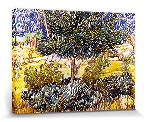 1art1 Vincent Van Gogh Poster Baum Und Sträucher Im Garten Der Heilanstalt, 1889 Bilder Leinwand-Bild Auf Keilrahmen | XXL-Wandbild Poster Kunstdruck Als Leinwandbild 40x30 cm von 1art1