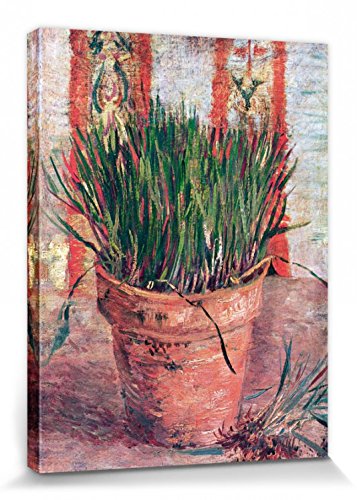 1art1 Vincent Van Gogh Poster Blumentopf Mit Schnittlauch, 1887 Bilder Leinwand-Bild Auf Keilrahmen | XXL-Wandbild Poster Kunstdruck Als Leinwandbild 40x30 cm von 1art1