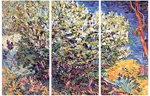 1art1 Vincent Van Gogh Poster Die Büsche, 1888, Detail, 3-Teilig Bilder Leinwand-Bild Auf Keilrahmen | XXL-Wandbild Poster Kunstdruck Als Leinwandbild 180x120 cm von 1art1