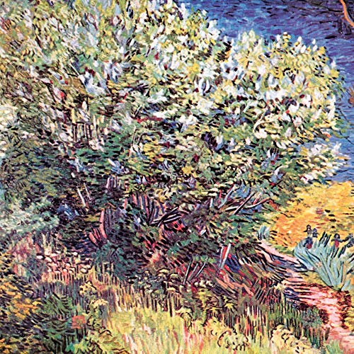 1art1 Vincent Van Gogh Poster Die Büsche, 1888, Detail Kunstdruck Bild 40x40 cm von 1art1