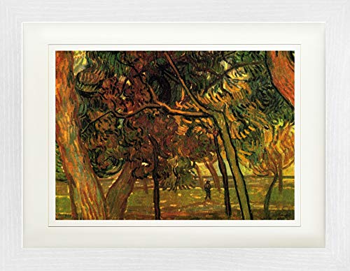 1art1 Vincent Van Gogh Poster Herbstliche Kiefern, 1889 Gerahmtes Bild Mit Edlem Passepartout | Wand-Bilder | Im Bilderrahmen 40x30 cm von 1art1