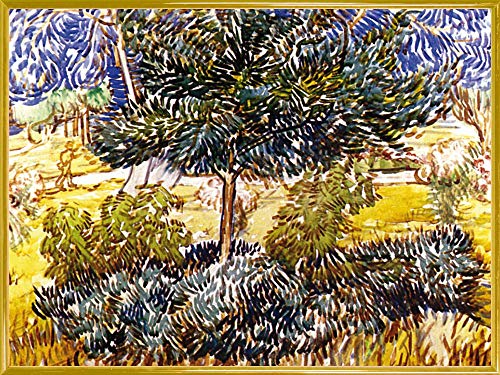 1art1 Vincent Van Gogh Poster Kunstdruck Bild und Kunststoff-Rahmen - Baum Und Sträucher Im Garten Der Heilanstalt, 1889 (80 x 60cm) von 1art1