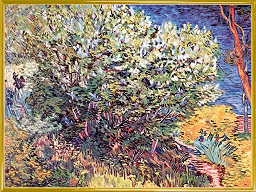 1art1 Vincent Van Gogh Poster Kunstdruck Bild und Kunststoff-Rahmen - Die Büsche, 1888, Detail (80 x 60cm) von 1art1