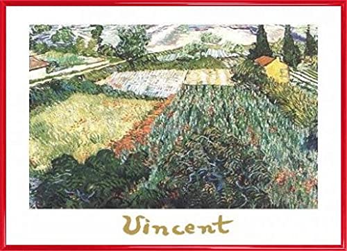 1art1 Vincent Van Gogh Poster Kunstdruck Bild und Kunststoff-Rahmen - Field of Poppies (70 x 50cm) von 1art1