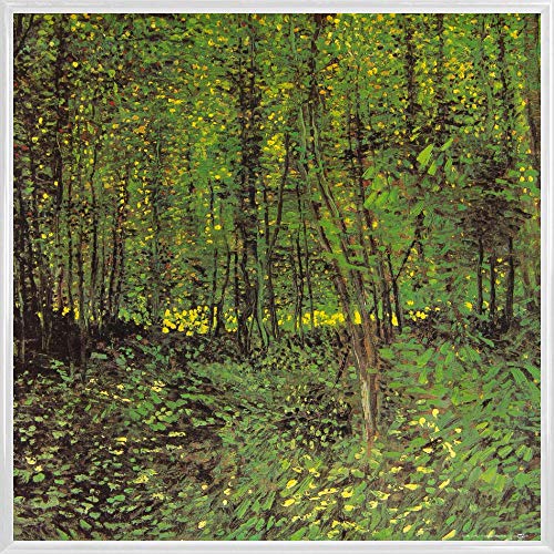 1art1 Vincent Van Gogh Poster Kunstdruck Bild und Kunststoff-Rahmen - Bäume Und Unterholz, 1887 (40 x 40cm) von 1art1