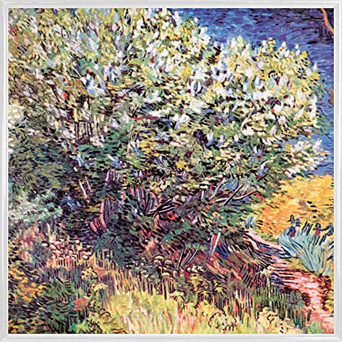 1art1 Vincent Van Gogh Poster Kunstdruck Bild und Kunststoff-Rahmen - Die Büsche, 1888, Detail (40 x 40cm) von 1art1