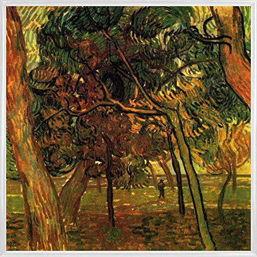 1art1 Vincent Van Gogh Poster Kunstdruck Bild und Kunststoff-Rahmen - Herbstliche Kiefern, 1889 (40 x 40cm) von 1art1