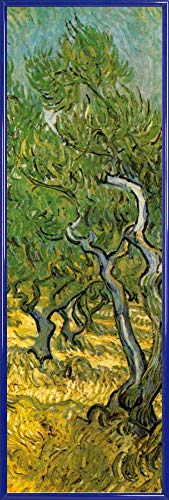 1art1 Vincent Van Gogh Poster Kunstdruck Bild und Kunststoff-Rahmen - Olivenhain, 1889 (91 x 30cm) von 1art1