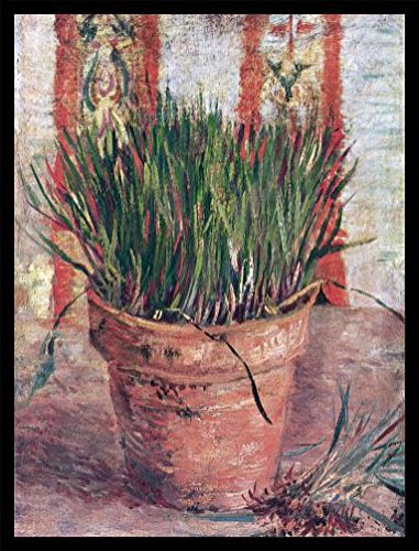 Vincent Van Gogh Poster Kunstdruck Bild und MDF-Rahmen Schwarz - Blumentopf Mit Schnittlauch, 1887 (80 x 60cm) von 1art1