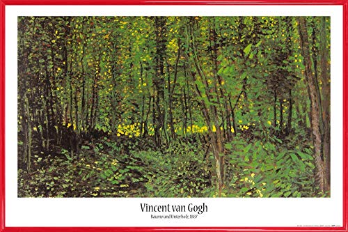 1art1 Vincent Van Gogh Poster Plakat | Bild und Kunststoff-Rahmen - Bäume Und Unterholz, 1887 (91 x 61cm) von 1art1