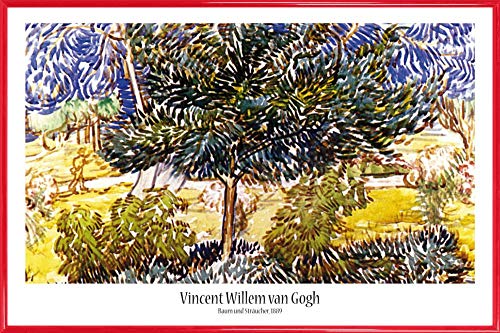 1art1 Vincent Van Gogh Poster Plakat | Bild und Kunststoff-Rahmen - Baum Und Sträucher Im Garten Der Heilanstalt, 1889 (91 x 61cm) von 1art1