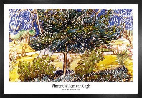 1art1 Vincent Van Gogh Poster Plakat | Bild und MDF-Rahmen - Baum Und Sträucher Im Garten Der Heilanstalt, 1889 (91 x 61cm) von 1art1