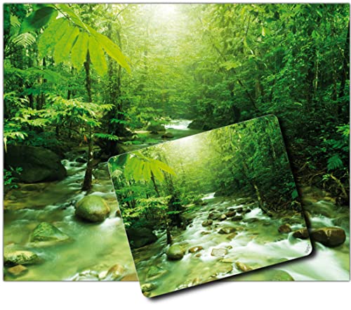 1art1 Wälder, Am Grünen Magischen Fluss 1 Kunstdruck Bild (50x40 cm) + 1 Mauspad (23x19 cm) Geschenkset von 1art1