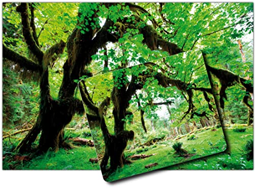 1art1 Wälder, Grüner Wald, Zurück Zur Natur 1 Kunstdruck Bild (120x80 cm) + 1 Mauspad (23x19 cm) Geschenkset von 1art1