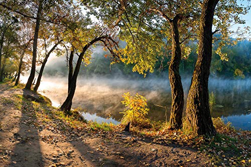 1art1 Wälder XXL Poster Bäume Am Fluss-Ufer Im Morgentau Plakat | Bild 120x80 cm von 1art1