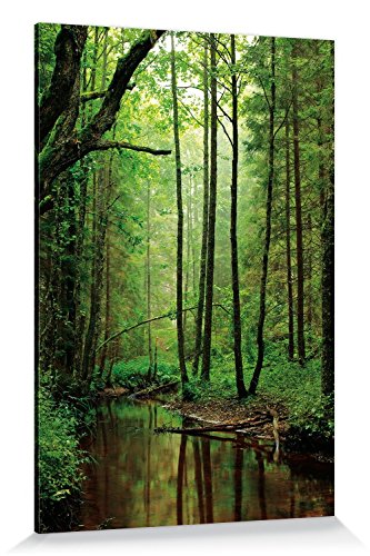 1art1 Wälder Poster EIN Stiller Bach Fließt Durch Den Wald Bilder Leinwand-Bild Auf Keilrahmen | XXL-Wandbild Poster Kunstdruck Als Leinwandbild 180x120 cm von 1art1