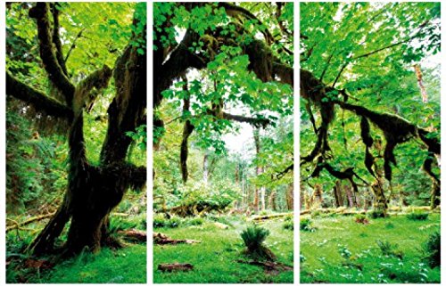 1art1 Wälder Poster Grüner Wald, Zurück Zur Natur, 3-Teilig Bilder Leinwand-Bild Auf Keilrahmen | XXL-Wandbild Poster Kunstdruck Als Leinwandbild 180x120 cm von 1art1