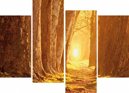 1art1 Wälder Poster Herbstfarben, Magischer Pfad, 4-Teilig Bilder Leinwand-Bild Auf Keilrahmen | XXL-Wandbild Poster Kunstdruck Als Leinwandbild 120x80 cm von 1art1