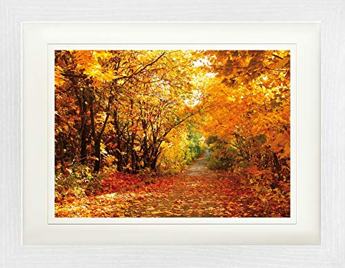 1art1 Wälder Poster Magische Herbstfarben, Wald-Pfad Gerahmtes Bild Mit Edlem Passepartout | Wand-Bilder | Im Bilderrahmen 40x30 cm von 1art1