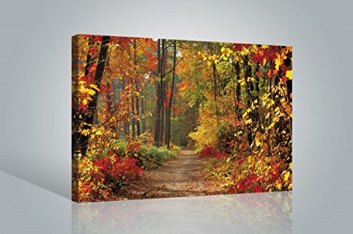 1art1 Wälder Poster Magische Herbstfarben Bilder Leinwand-Bild Auf Keilrahmen | XXL-Wandbild Poster Kunstdruck Als Leinwandbild 120x80 cm 1art1 Wälder Poster Magische Herbstfarben Bilder Leinwand-Bild Auf Keilrahmen | XXL-Wandbild Poster Kunstdruck Als Leinwandbild 120x80 cm von 1art1
