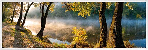 1art1 Wälder Poster Kunstdruck Bild und Kunststoff-Rahmen - Bäume Am Fluss-Ufer Im Morgentau (91 x 30cm) von 1art1