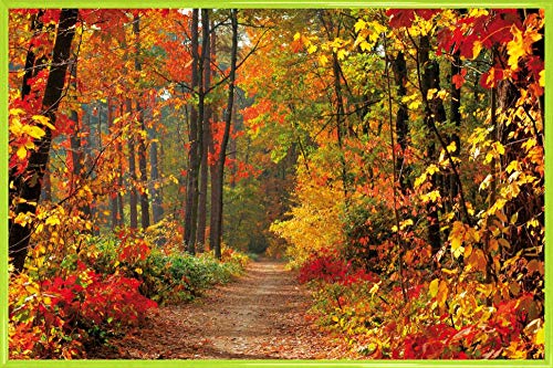 1art1 Wälder Poster Plakat | Bild und Kunststoff-Rahmen - Magische Herbstfarben (91 x 61cm) von 1art1