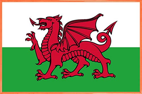 1art1 Wales Poster Plakat | Bild und Kunststoff-Rahmen - Flaggen Der Welt (91 x 61cm) von 1art1