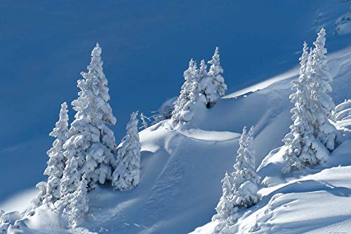 1art1 Winter Poster Glitzernder Schnee Auf Eingeschneiter Berglandschaft Plakat | Bild 91x61 cm von 1art1