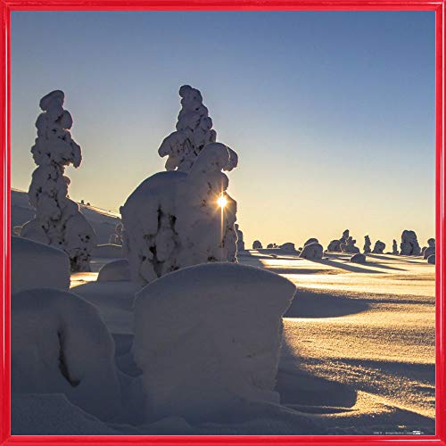 1art1 Winter Poster Kunstdruck Bild und Kunststoff-Rahmen - Schneebedeckte Bäume An Einem Schönen Wintermorgen In Lappland (40 x 40cm) von 1art1